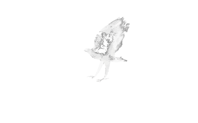 Ridley Scott logo
